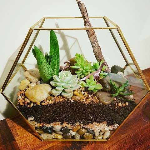 Photo: Terrariums By Kristina